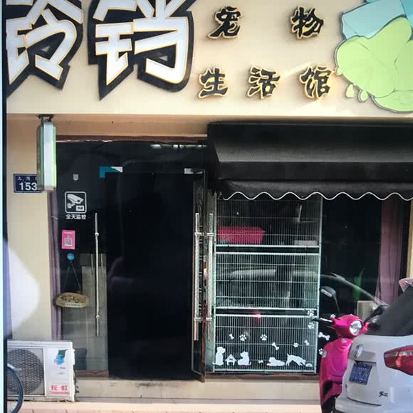 铃铛宠物生活馆:广元市利州区老城上城壕街附近