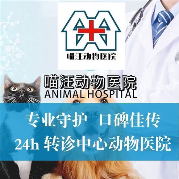 喵汪动物诊所(汇君城店):石家庄市新华区赵佗公园附近