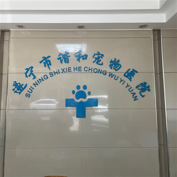 谐和宠物医院(总店):遂宁市船山区步行街/中央商务区附近