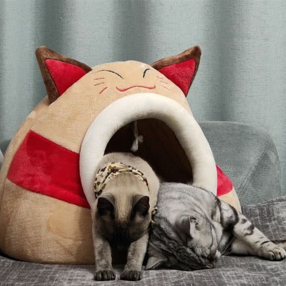 冬晨宠物医院:遂宁市船山区河东新区附近