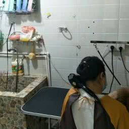 皮皮面包店:遂宁市船山区金港名都附近