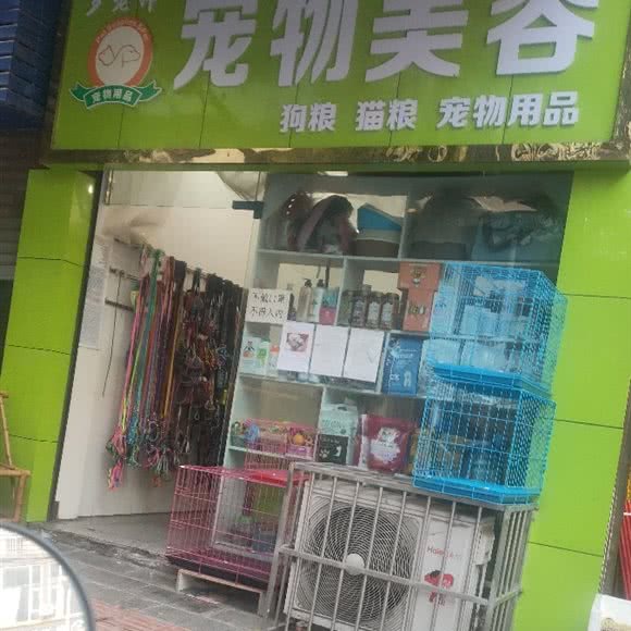 罗老师宠物美容:遂宁市射洪市射洪市附近