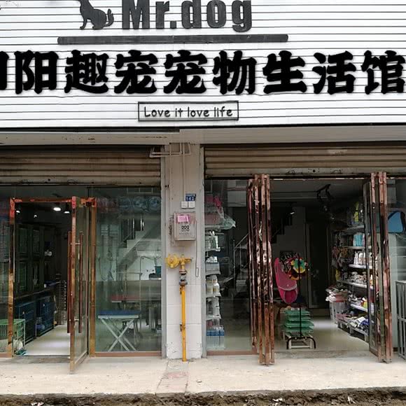 阳阳趣宠宠物生活馆:遂宁市射洪市射洪市附近