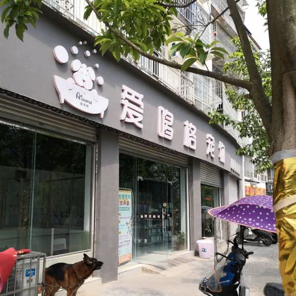 爱哆格宠物:遂宁市射洪市射洪市附近