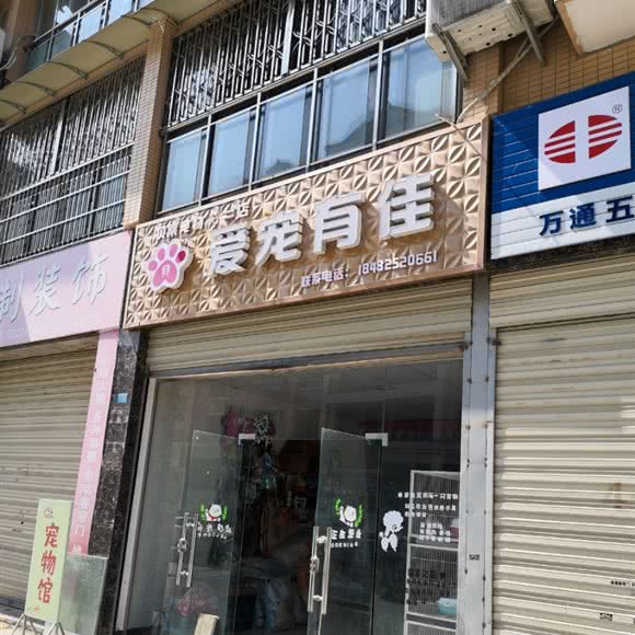 爱宠有佳:遂宁市射洪市射洪市附近