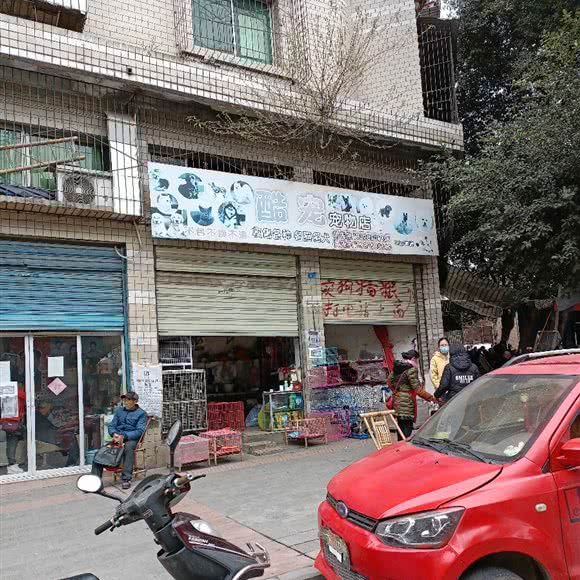 酷宠宠物店:遂宁市射洪市射洪市附近