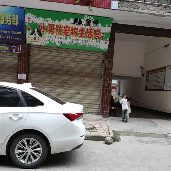 小男孩宠物生活馆:遂宁市射洪市射洪市附近