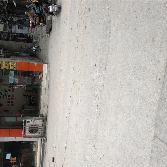 泰和动物医院:遂宁市射洪市射洪市附近