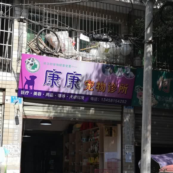 康康宠物狗诊所:遂宁市射洪市射洪市附近