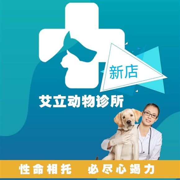 艾立动物诊所(射洪店):遂宁市射洪市射洪市附近