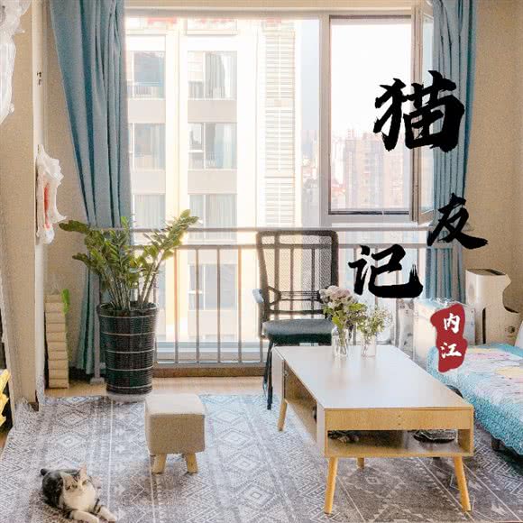 猫友记 宠物工作室:内江市东兴区万达广场附近