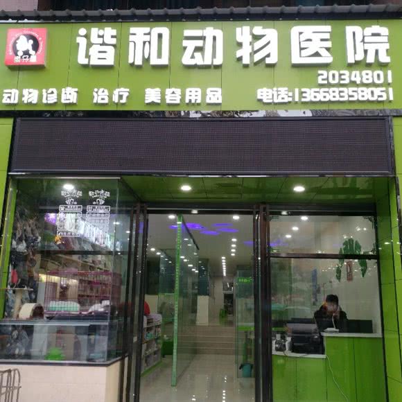 广元谐和宠物医院:内江市东兴区万达广场附近