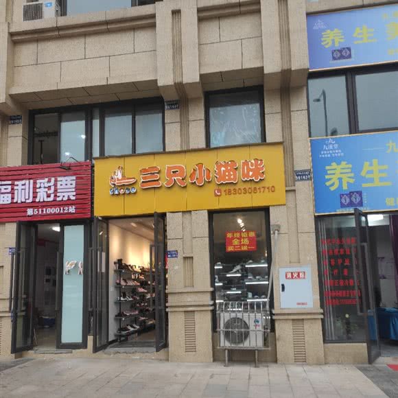 三只小猫咪:内江市东兴区东兴区党校附近
