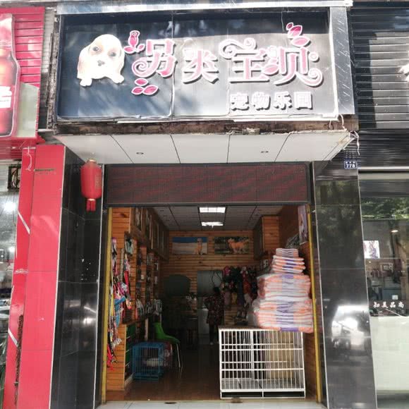 另类宝贝宠物乐园:乐山市市中区嘉兴路美食街附近