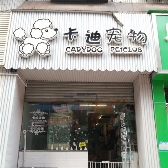 卡迪宠物:乐山市市中区张公桥附近