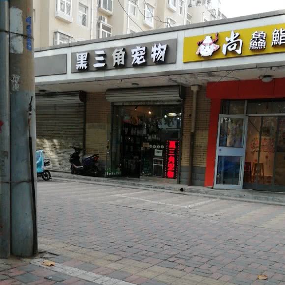 黑三角宠物:石家庄市新华区石家庄北站附近