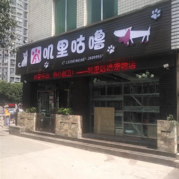 叽里咕噜(宠物店):乐山市市中区联运站/莱佛士帝景附近