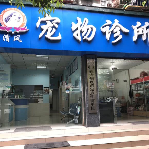 宠物诊所:乐山市市中区乐山新广场附近