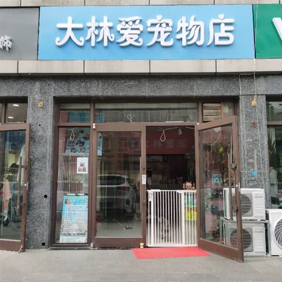 大林爱宠物店:石家庄市新华区省人民医院附近