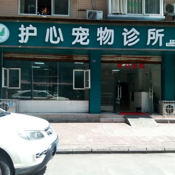 护心宠物诊所:乐山市市中区通江附近