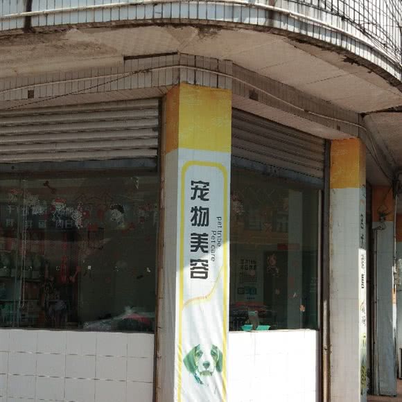 宠物美容:乐山市市中区苏稽镇附近