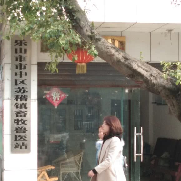 乐山市市中区苏稽镇畜牧兽医站:乐山市市中区苏稽镇附近