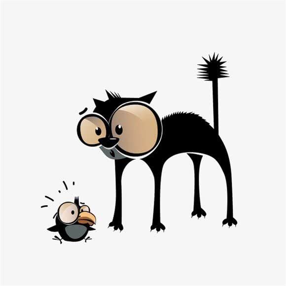 炸毛·猫咪生活馆:石家庄市裕华区万达广场附近