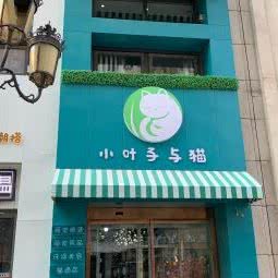 小叶子与猫:石家庄市裕华区万达广场附近