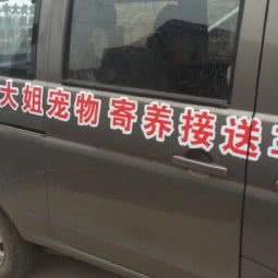 苏大姐宠物服务:南充市顺庆区镇江路附近