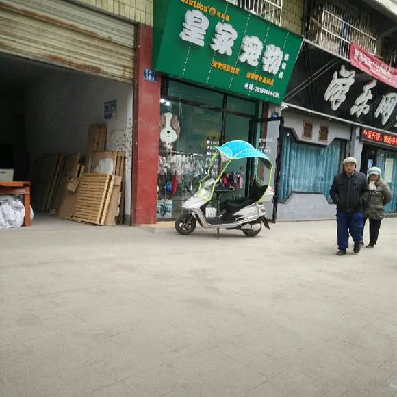 皇家宠物:南充市顺庆区卫校/职中/技师学院附近