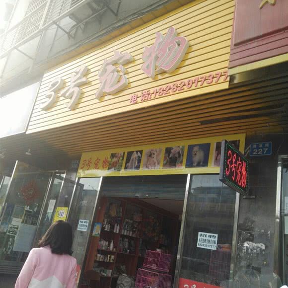 3号宠物:南充市高坪区安汉广场/鹤鸣商场附近