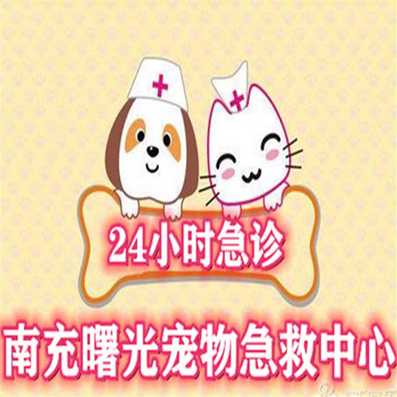南充曙光宠物医院:南充市高坪区安汉广场/鹤鸣商场附近