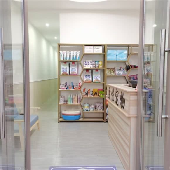 贝佳宠物诊所:南充市高坪区天来附近