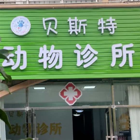 贝斯特动物诊疗:南充市嘉陵区光彩大市场附近