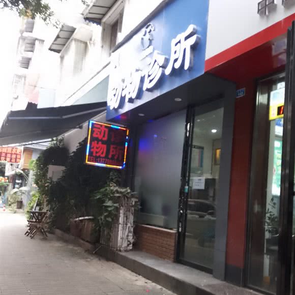 动物诊所:眉山市东坡区宏远盖丽广场附近