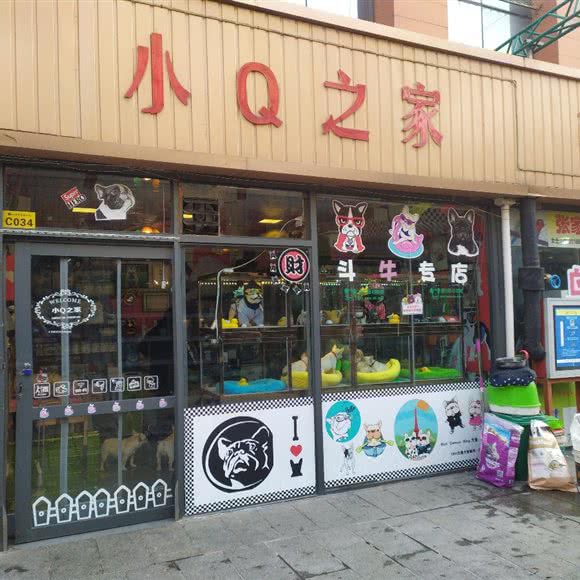 小Q之家:石家庄市裕华区怀特商城附近