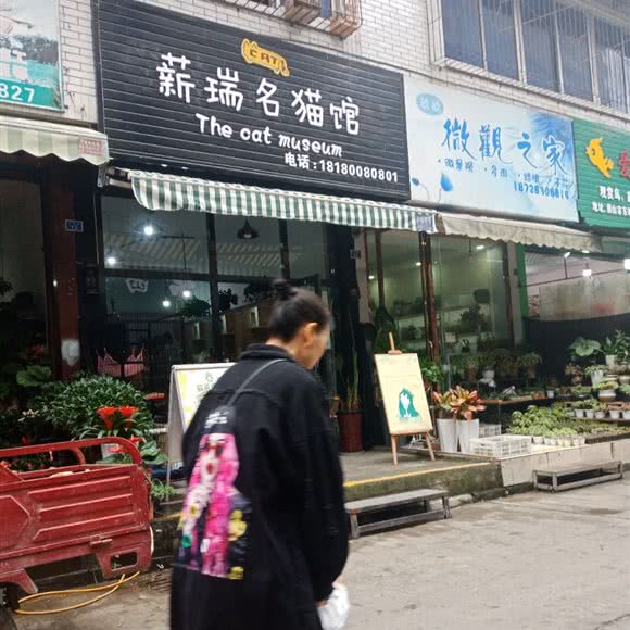 薪瑞名猫馆:眉山市东坡区珠市街附近
