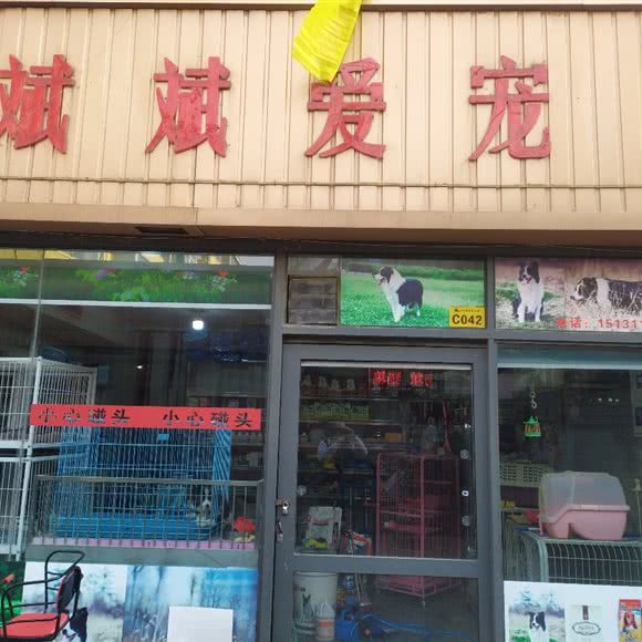 斌斌爱宠:石家庄市裕华区怀特商城附近