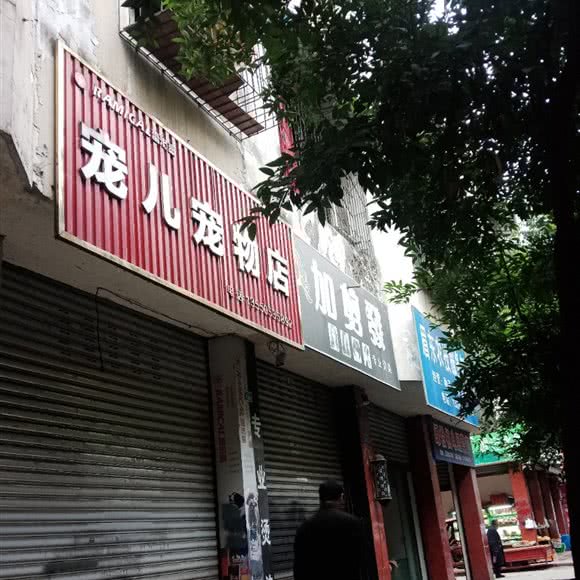 宠儿宠物店:眉山市东坡区三苏祠附近