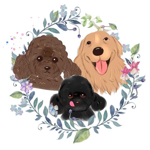 狗屿猫酱宠物生活馆:眉山市东坡区东坡中学附近