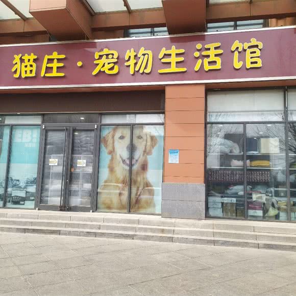 猫庄·宠物生活馆:石家庄市裕华区怀特商城附近