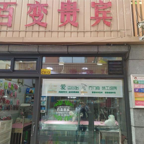 百变贵宾:石家庄市裕华区怀特商城附近