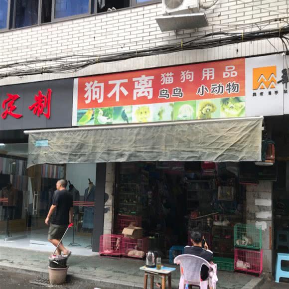 狗不离猫狗用品:宜宾市翠屏区大观楼附近