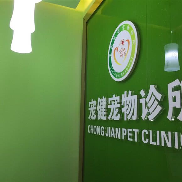 宠健宠物诊所(城区店):宜宾市翠屏区大观楼附近