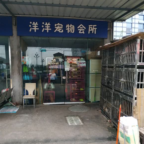 洋洋宠物会所:宜宾市翠屏区宜宾火车站附近