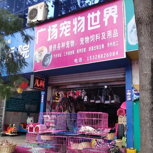 广场宠物世界:宜宾市翠屏区人民广场附近