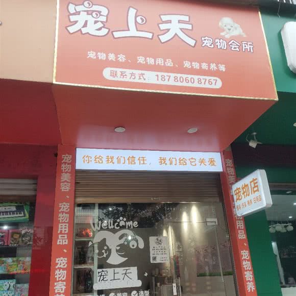 宠上天:宜宾市南溪区北大街附近