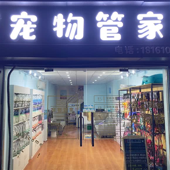 AI+宠物管家:宜宾市叙州区叙州区附近