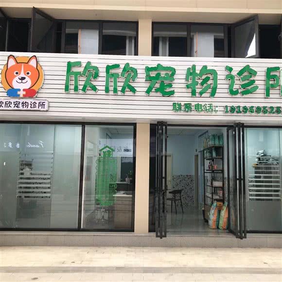 欣欣宠物诊所:宜宾市叙州区叙州区附近