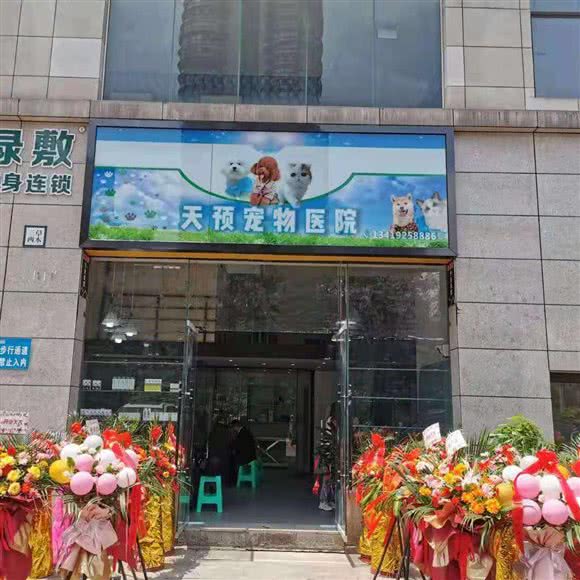天预宠物医院:宜宾市叙州区叙州区附近